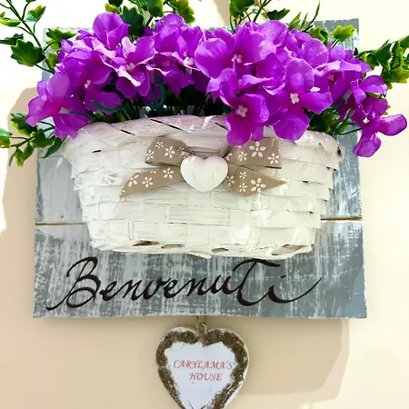 Appartement Carylama's House *